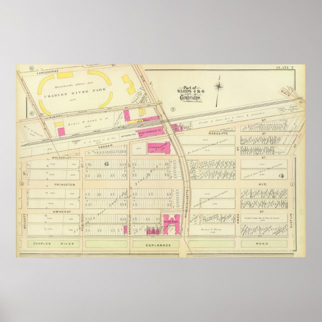 Póster Atlas de Cambridge 21 (Frente)