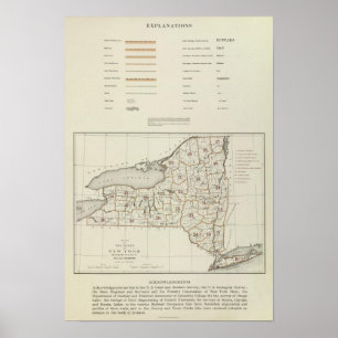 Póster Atlas del Estado de Nuevo York