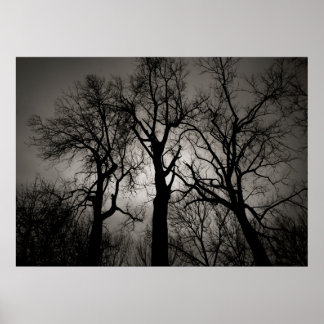 Póster Atomic Cerebellum : Lake Front in Winter