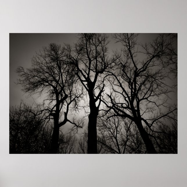 Póster Atomic Cerebellum : Lake Front in Winter (Frente)