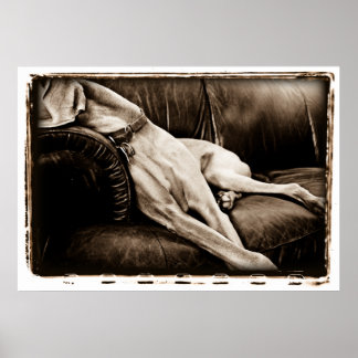 Póster Atomic Cerebellum : Taking Over The Couch