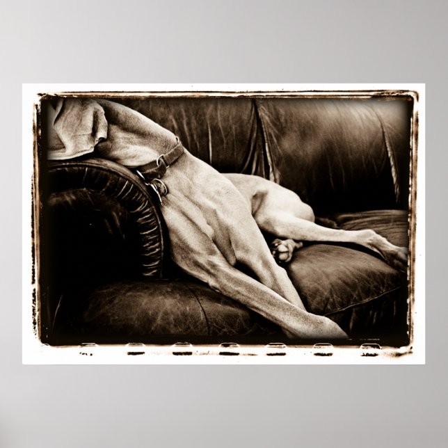 Póster Atomic Cerebellum : Taking Over The Couch (Frente)