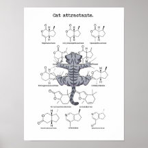 Atractivo de gato