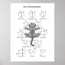 Póster Atractivo de gato