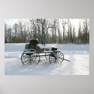 Póster Atrapado en la nieve