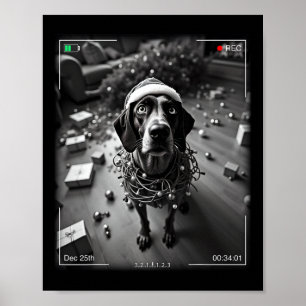 Póster Atrapan A Cam A Un Artista Alemán De Shorthtransmi