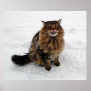 Póster Atrapando un copo de nieve