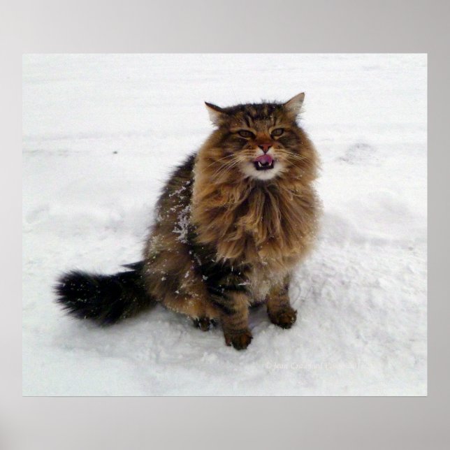 Póster Atrapando un copo de nieve (Frente)