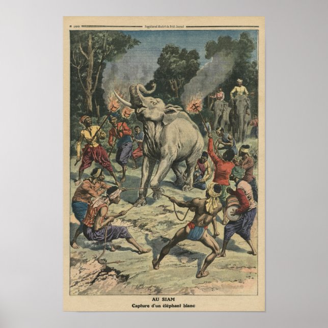 Póster Atrapando un elefante blanco en Siam (Frente)