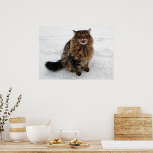 Póster Atrapar un copo de nieve