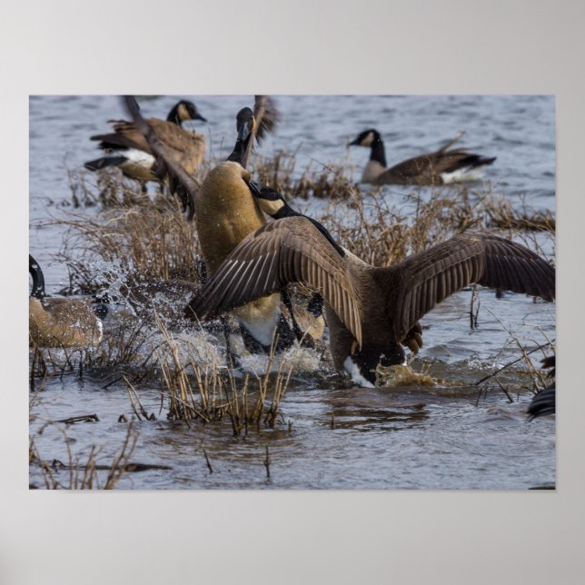 Póster Atrás (Frente)