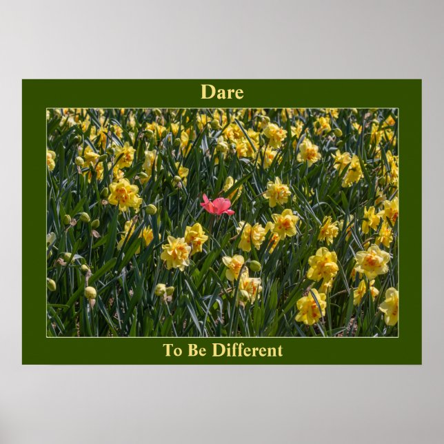 Póster Atrévase A Ser Poster De Daffodils Diferentes (Frente)