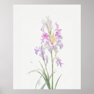 Póster August Gladiolus Birth Flower