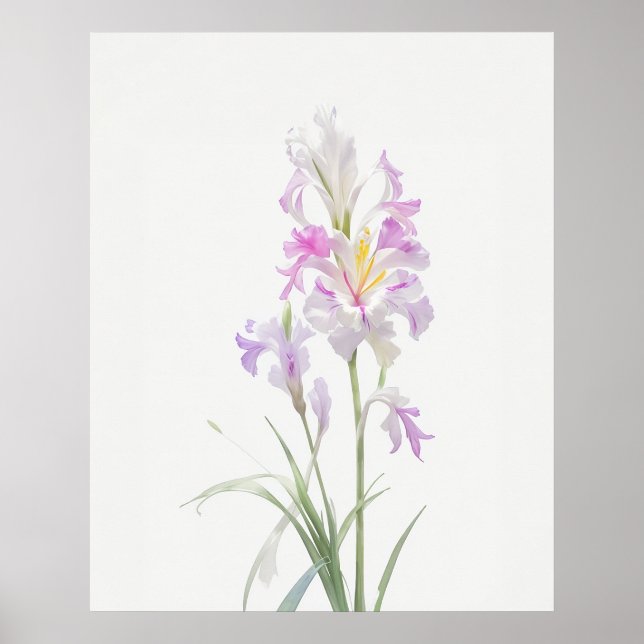 Póster August Gladiolus Birth Flower (Frente)