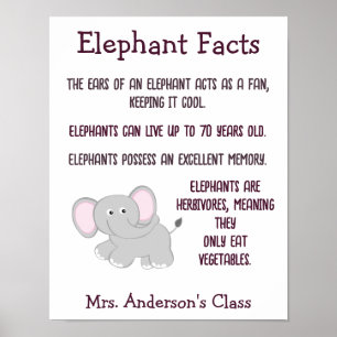 Póster Aula Elephant Facts