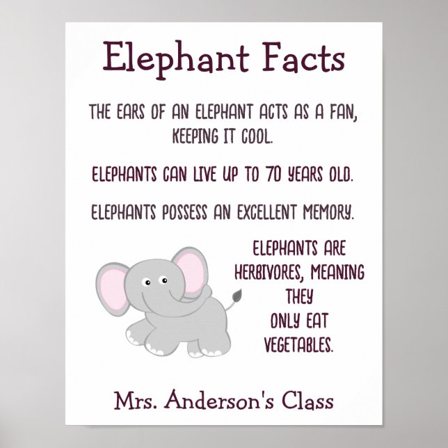Póster Aula Elephant Facts (Frente)