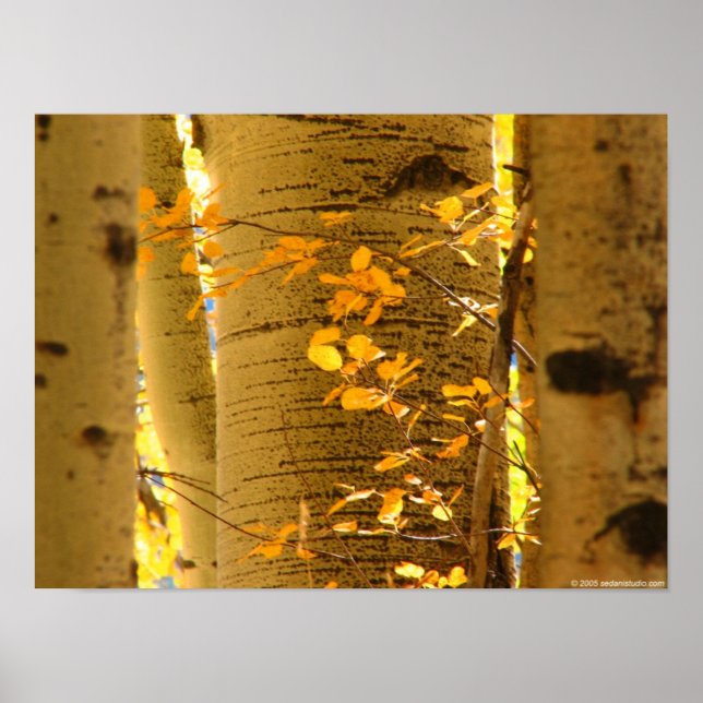 Póster Aumenta el cierre (Frente)