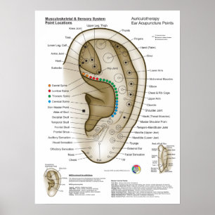Póster Auriculoterapia Acupuntura de oído