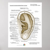 Auriculoterapia Acupuntura de Oreja