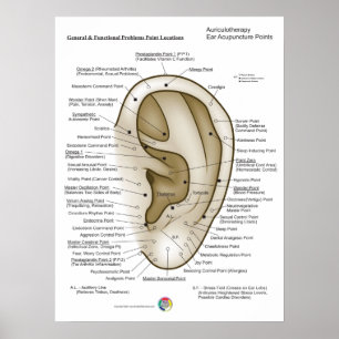 Póster Auriculoterapia Acupuntura de Oreja