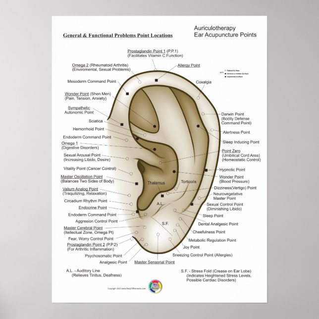 Póster Auriculotherapy Ear Acupuncture (Frente)