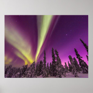 Póster Aurora Boreal Luces del Norte Fairbanks Alaska