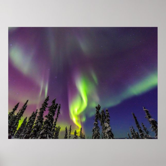 Póster Aurora Borealis | Fairbanks, Alaska (Frente)