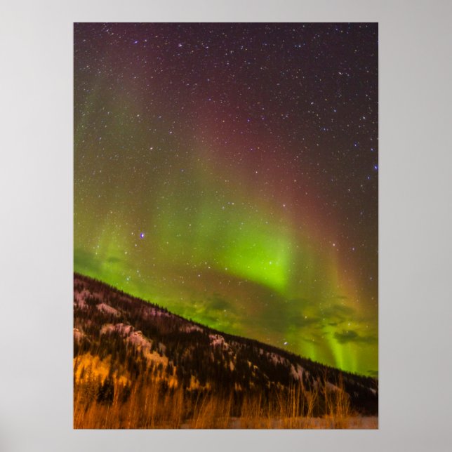 Póster Aurora Borealis | Montañas Fairbanks Alaska (Frente)