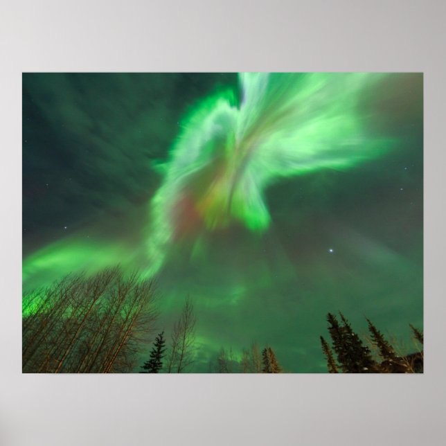 Póster Aurora Borealis Northern Lights | Fairbanks (Frente)