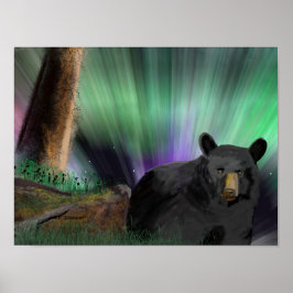 Póster aurora de oso