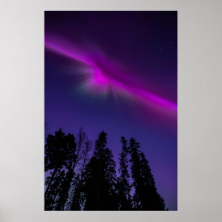 Póster Aury Borealis Night Sky Nature Poster