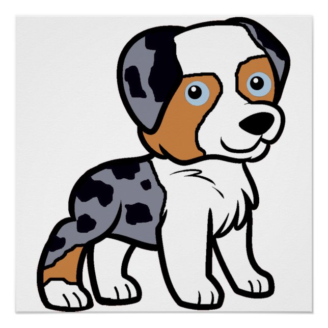 Póster aussie blue merle personalizado (Anverso)