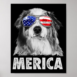 Póster Aussie pastor australiano 4 de julio merica
