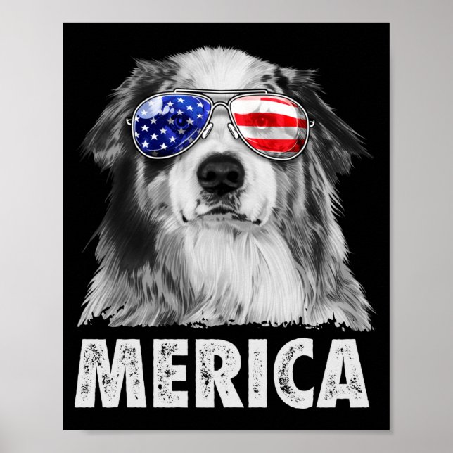 Póster Aussie pastor australiano 4 de julio merica (Frente)
