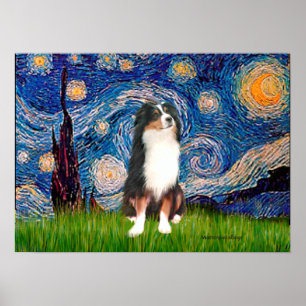 Póster Aussie Shep (Tri2) - Noche estrellada