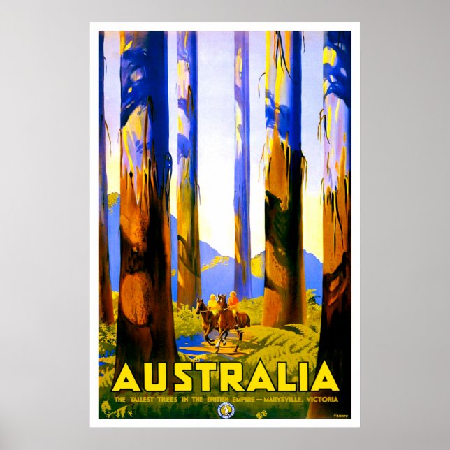 Póster Australia, árboles altos de Marysville, Victoria (Frente)