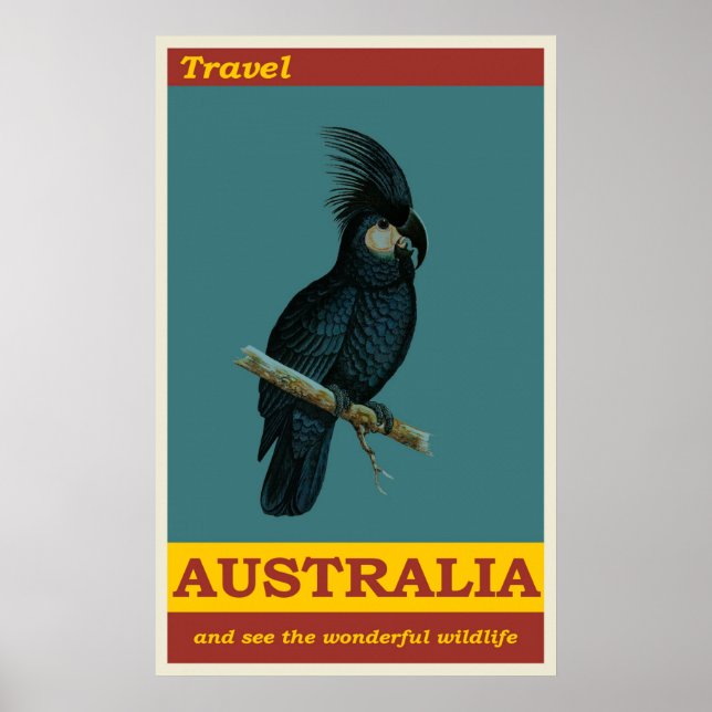 Póster Australia Black Cockatoo Bird Vintage Travel (Frente)