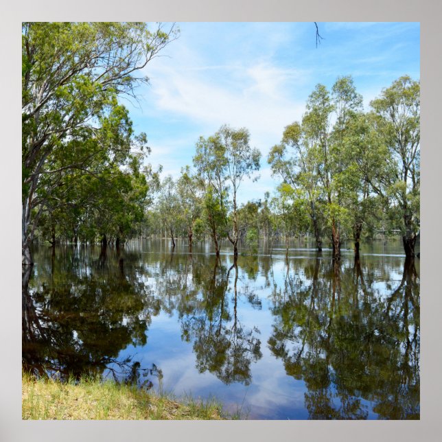 Póster Australia El río Murray, (Frente)