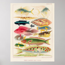 Póster Australia, Great Barrier Reef vintage art poster