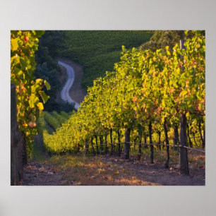 Póster Australia Meridional, Adelaide Hills, Summertown. 