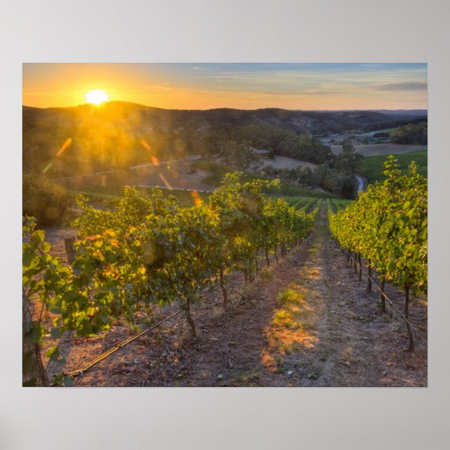 Póster Australia Meridional, Adelaide Hills, Summertown. (Frente)