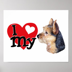 Póster Australia Terrier I (corazón) mi