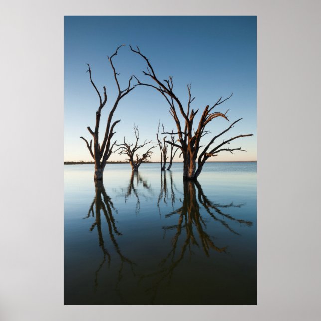 Póster Australia, Valle del Río Murray, Barmera, Lago (Frente)