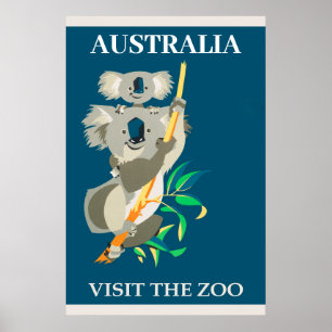 Póster Australia: Visita al Oso de Koala al Zoológico Via