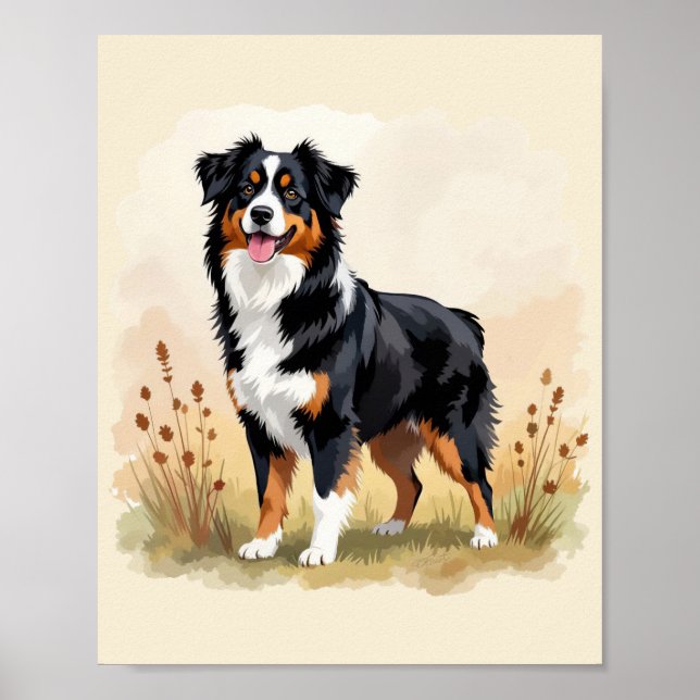 Póster Australian Shepherd Black Tricolor Aussie Dog (Frente)