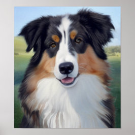 Póster Australian Shepherd Portrait  - 