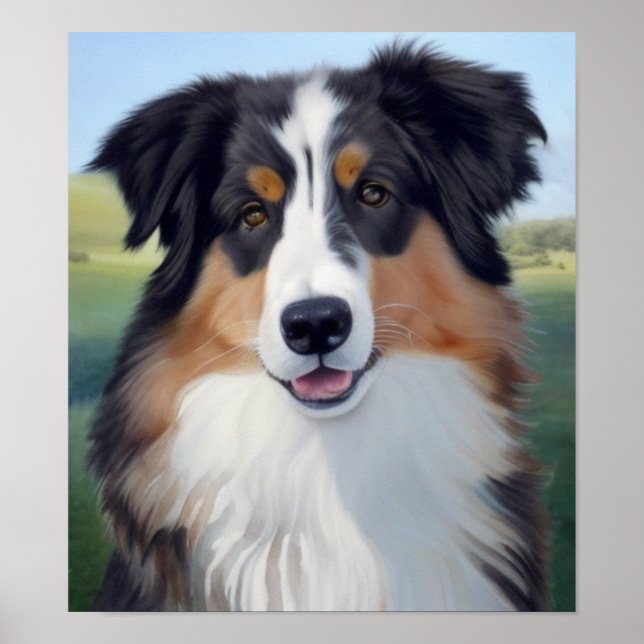 Póster Australian Shepherd Portrait  -  (Frente)