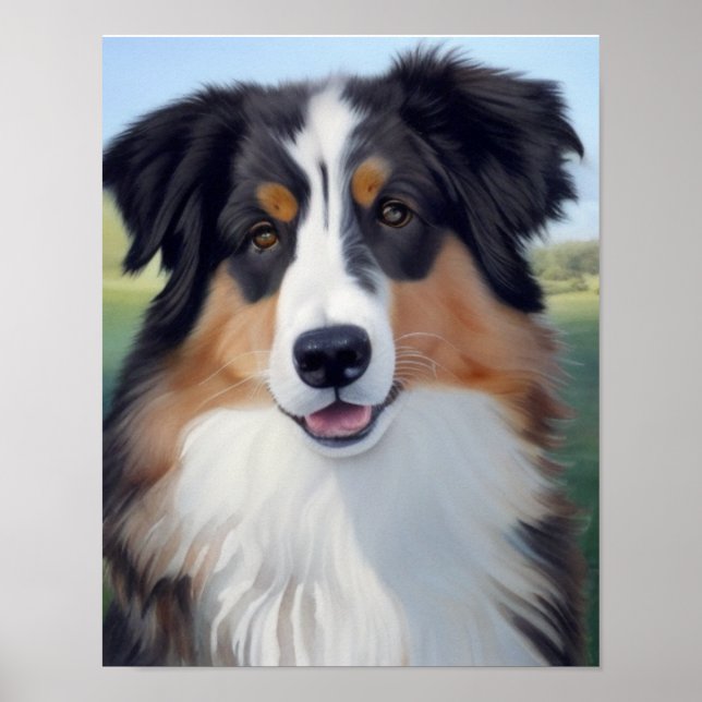 Póster Australian Shepherd Portrait  -  (Frente)