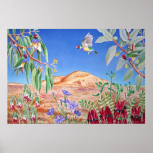 Póster Australiano interior