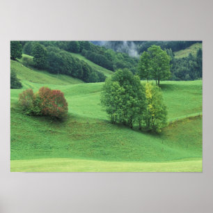 Póster Austria. Colinas verdes rodando y árboles